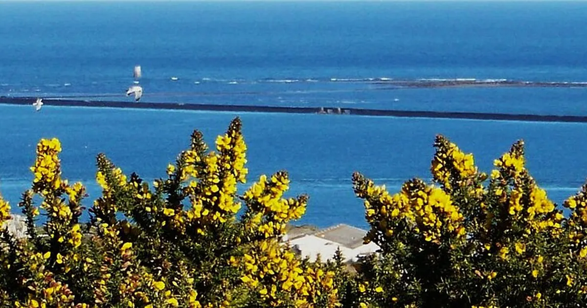 DPE à Cherbourg-en-Cotentin : ce que révèlent les 27 734 diagnostics de la base ADEME — Cherbourg-en-Cotentin